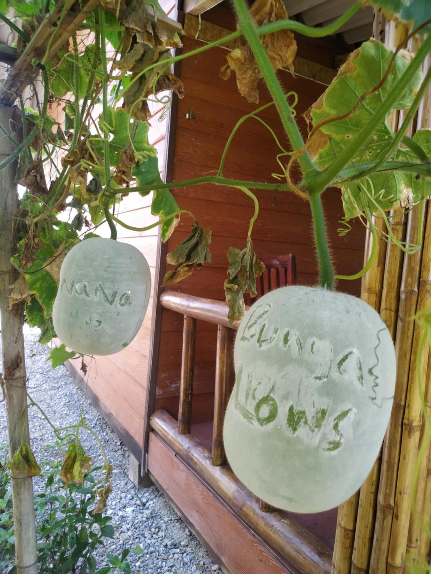 Nana Bungalows Ban Tan Δωμάτιο φωτογραφία